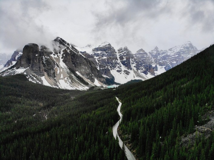 Winding mountain road leading through Banff’s dense pine forests toward snowy peaks.