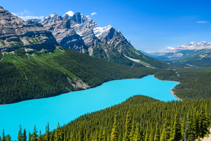 Stunning turquoise Peyto Lake view surrounded by mountains during Banff glacier tour.